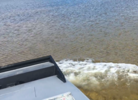 Boggy Bayou Airboat Tours