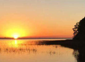 Panama City Airboat Tours - Airboat 5